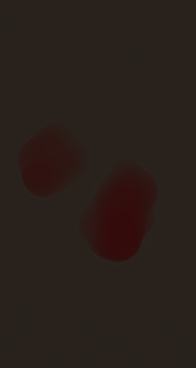 ultrasound_20260227_204721.jpg
