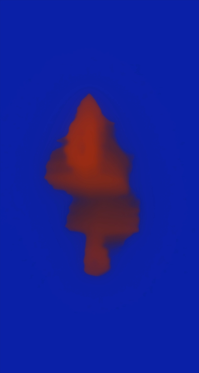 ultrasound_20260227_210252.jpg
