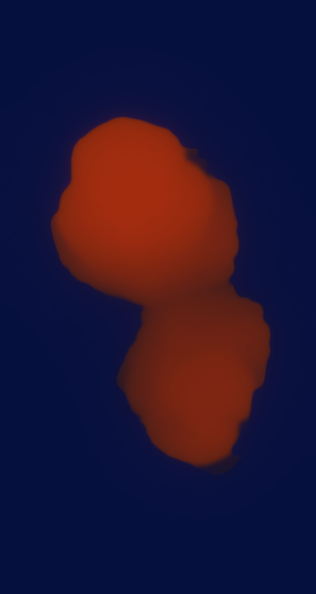 ultrasound_20260227_210504.jpg