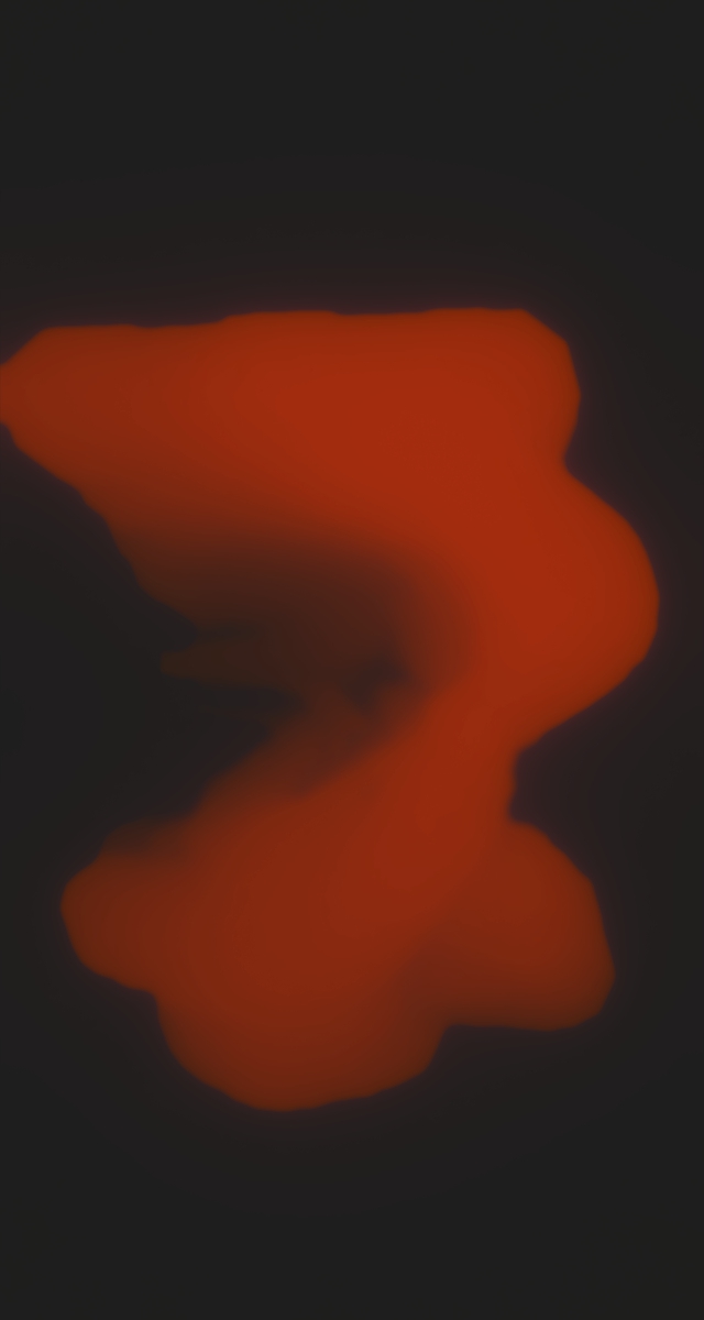 ultrasound_20260227_210808.jpg