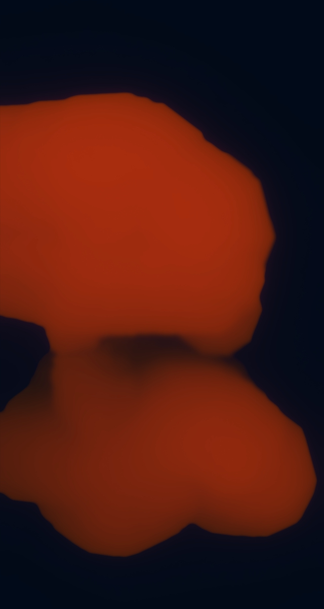 ultrasound_20260227_210854.jpg