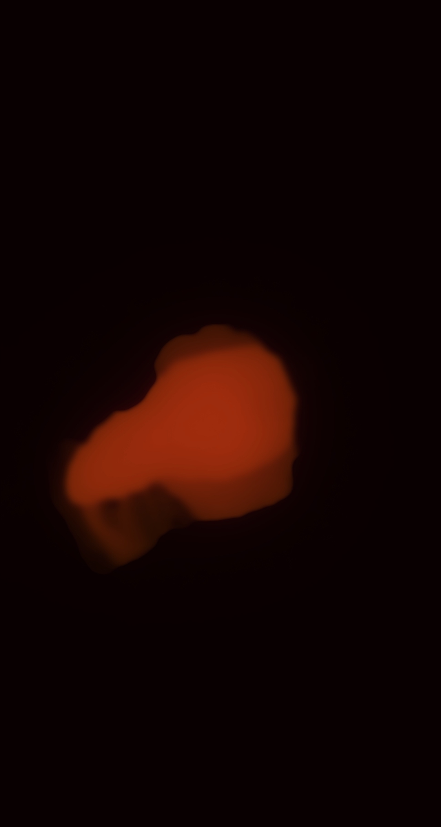 ultrasound_20260227_210940.jpg
