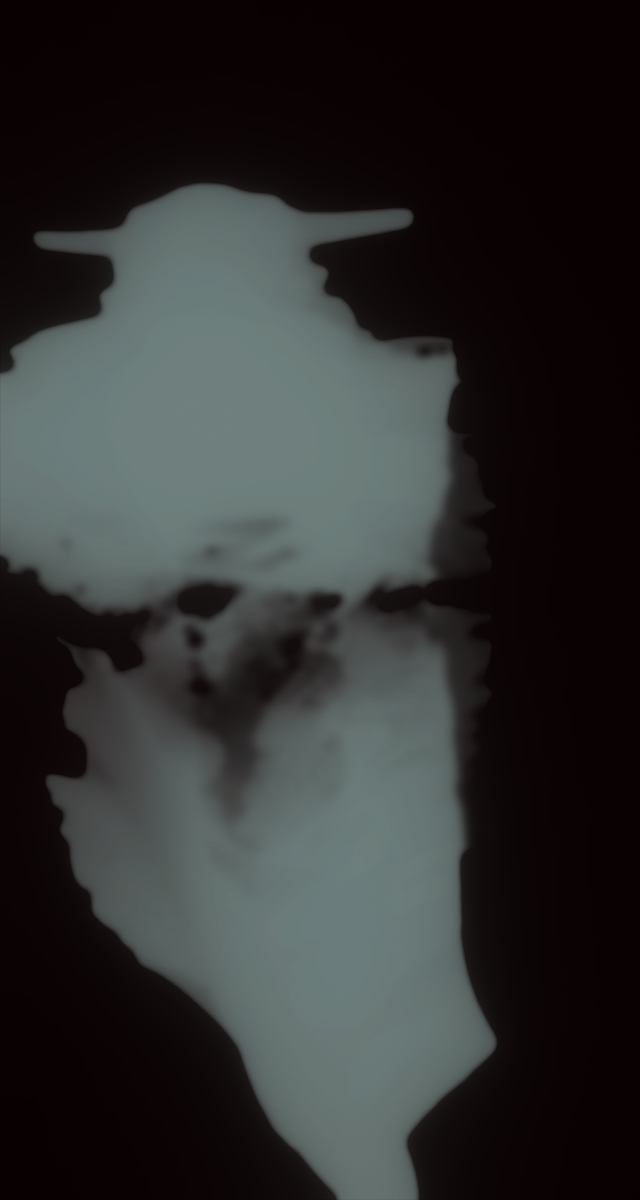 ultrasound_20260227_211148.jpg