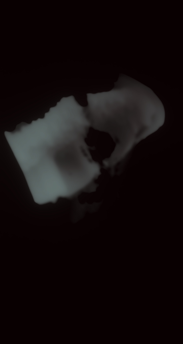 ultrasound_20260227_211408.jpg