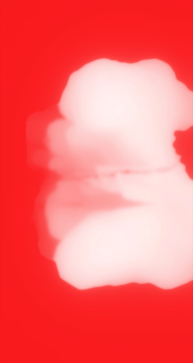 ultrasound_20260227_213108.jpg