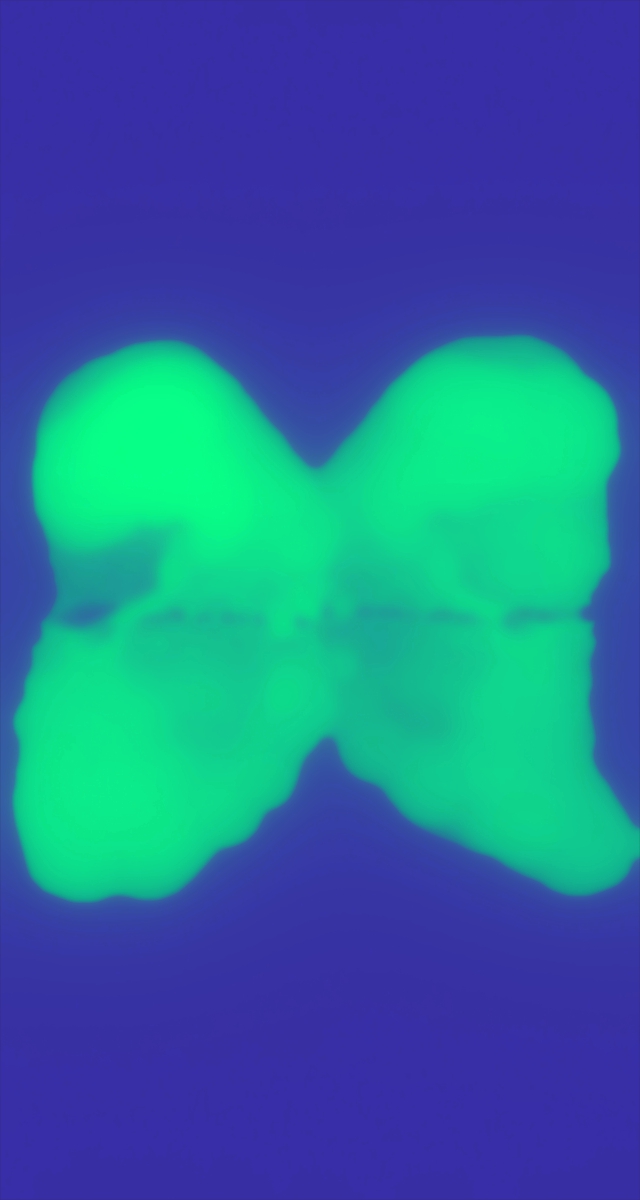 ultrasound_20260227_214945.jpg
