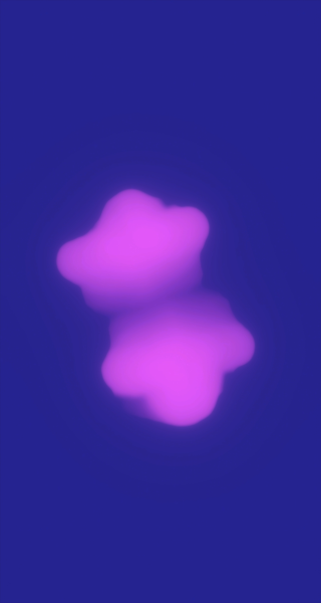 ultrasound_20260227_215027.jpg
