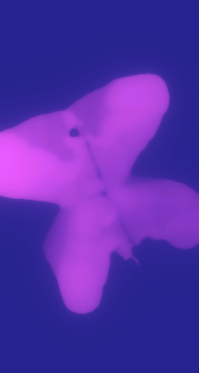 ultrasound_20260227_215537.jpg