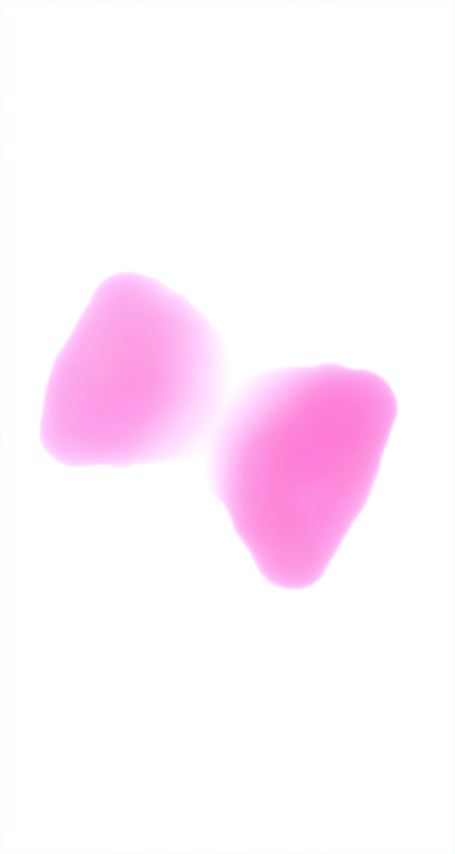 ultrasound_20260227_222001.jpg