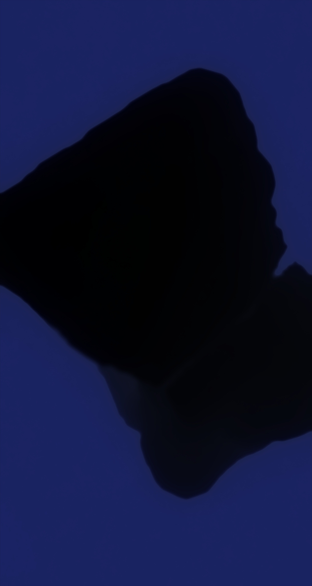 ultrasound_20260227_224318.jpg