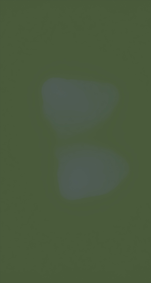 ultrasound_20260227_232604.jpg