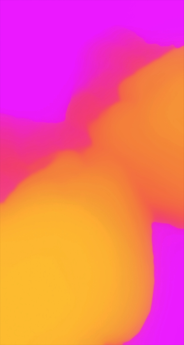 ultrasound_20260228_142345.jpg