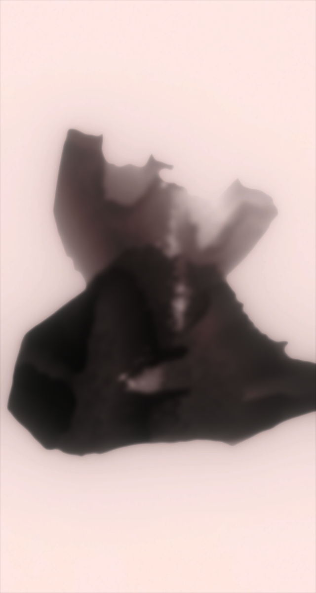 ultrasound_20260228_143810.jpg