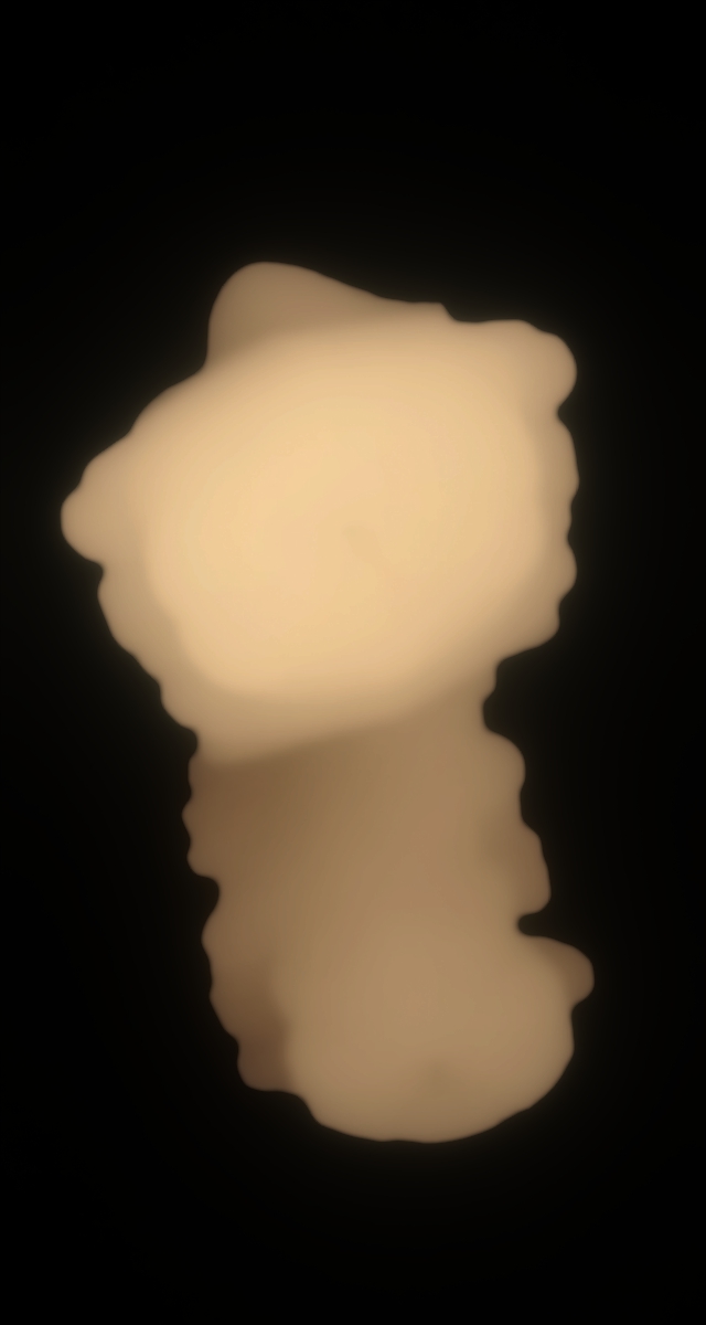 ultrasound_20260228_153859.jpg