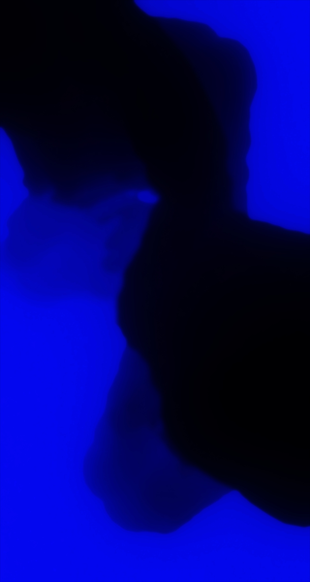 ultrasound_20260228_154850.jpg