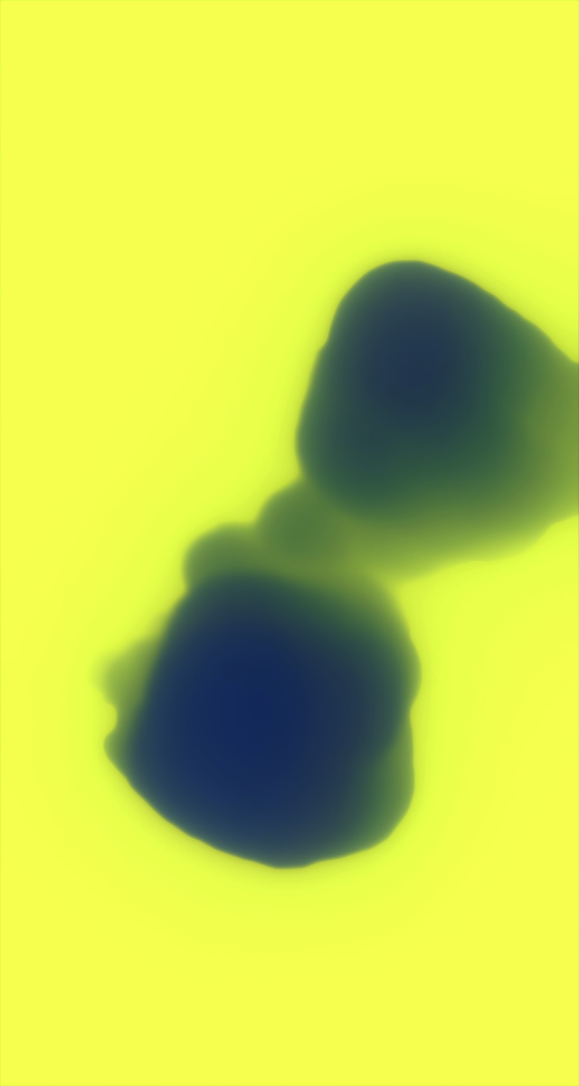 ultrasound_20260228_171253.jpg