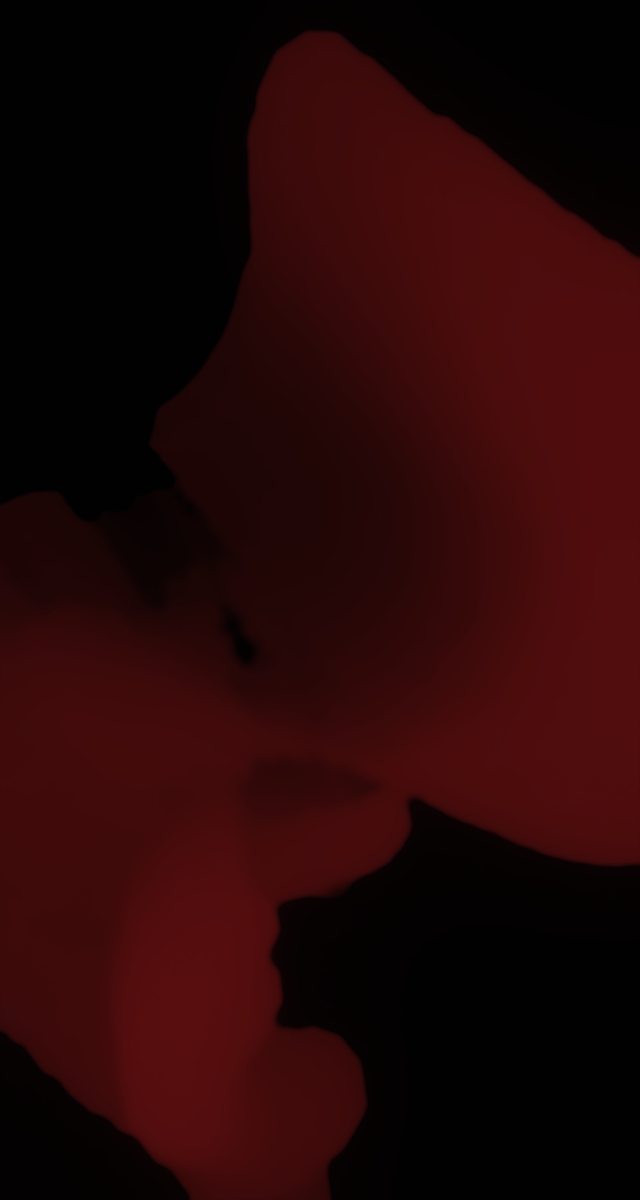 ultrasound_20260228_174103.jpg