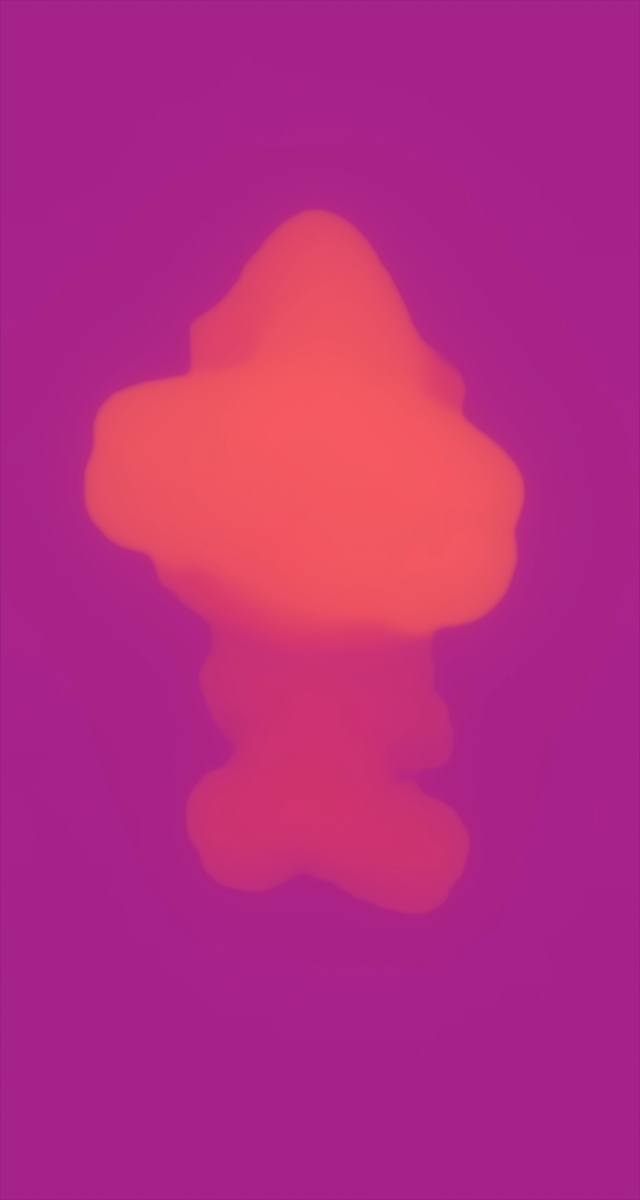 ultrasound_20260228_174521.jpg